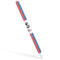 American Flag Color Block Apple Pencil (2nd Gen 2019) Skin