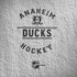 NHL Anaheim Ducks Black Text Amazon Echo Skin