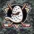 NHL Anaheim Ducks Camo Dell Latitude Skin