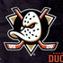 NHL Anaheim Ducks Distressed Nintendo 2DS XL (2017) Skin
