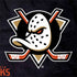 NHL Anaheim Ducks Distressed Dell Latitude Skin