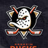 NHL Anaheim Ducks Distressed Otterbox Commuter Galaxy Skin