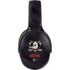 NHL Anaheim Ducks Distressed Skullcandy Venue Skin
