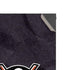NHL Anaheim Ducks Distressed XBox Series X Digital Edition Console Skin