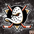NHL Anaheim Ducks Iced Nintendo 2DS XL (2017) Skin