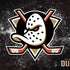 NHL Anaheim Ducks Iced Dell Alienware Skin