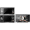 NHL Anaheim Ducks Iced DS Lite Skin