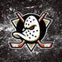 NHL Anaheim Ducks Iced iPhone XR Pro Case