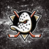 NHL Anaheim Ducks Iced iPhone XR Skin