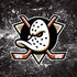 NHL Anaheim Ducks Iced iPhone XS Max Skin