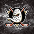 NHL Anaheim Ducks Iced iPhone XS Skin