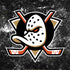 NHL Anaheim Ducks Iced Otterbox Commuter Galaxy Skin