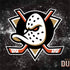 NHL Anaheim Ducks Iced Surface Book 2 13.5in Skin