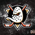 NHL Anaheim Ducks Iced Surface Book 2 15in Skin