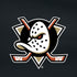 NHL Anaheim Ducks Jersey iPhone XR Skin