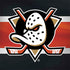 NHL Anaheim Ducks Jersey Surface Book 2 13.5in Skin