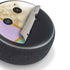 Angled Marble Amazon Echo Dot Skin