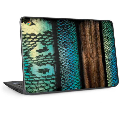 Animal Print Fashion HP Chromebook Skin