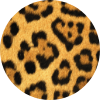 Shop Animal Prints Designs