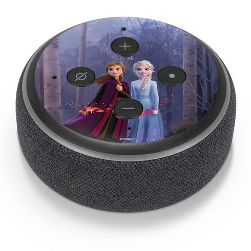 Disney Frozen II Anna and Elsa Amazon Echo Dot Skin