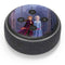 Disney Frozen II Anna and Elsa Amazon Echo Dot Skin