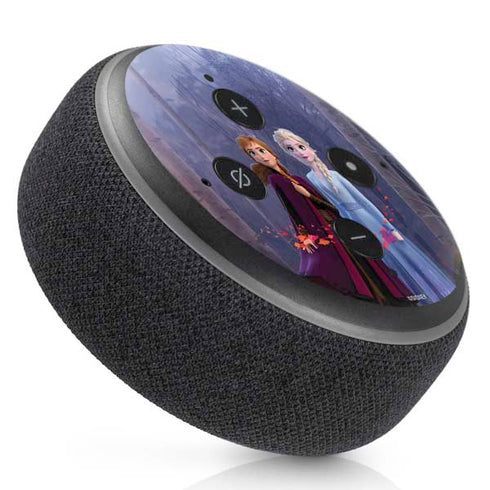 Disney Frozen II Anna and Elsa Amazon Echo Dot Skin