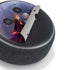Disney Frozen II Anna and Elsa Amazon Echo Dot Skin