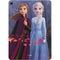 Disney Frozen II Anna and Elsa Apple iPad Air Skin