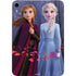 Disney Frozen II Anna and Elsa Apple iPad Mini Skin