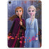 Disney Frozen II Anna and Elsa Apple iPad Pro Skin
