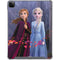 Disney Frozen II Anna and Elsa iPad Cases