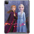 Disney Frozen II Anna and Elsa iPad Cases