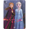 Disney Frozen II Anna and Elsa iPad Pro 13in M4 (2024) Skin