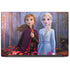 Disney Frozen II Anna and Elsa Dell Latitude Skin