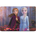 Disney Frozen II Anna and Elsa MacBook Skins