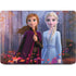 Disney Frozen II Anna and Elsa Apple MacBook Pro 16-inch Skin
