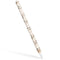Antique Notes Apple Pencil (2nd Gen 2019) Skin