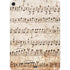 Antique Notes Apple iPad Air Skin