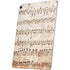 Antique Notes Apple iPad Air Skin