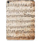 Antique Notes Apple iPad Pro Skin