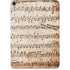 Antique Notes Apple iPad Pro Skin