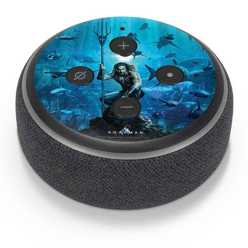 DC Comics DC Comics Movie Poster Main Amazon Echo Dot Skin