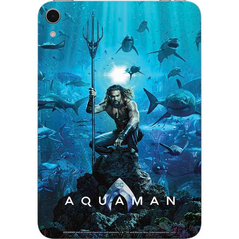 DC Comics DC Comics Movie Poster Main Apple iPad Mini Skin