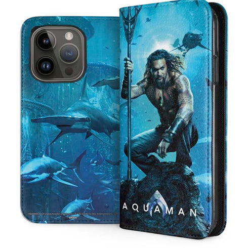 DC Comics DC Comics Movie Poster Main iPhone 15 Pro Folio Case