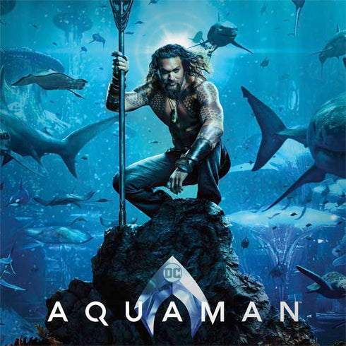 DC Comics DC Comics Movie Poster Main MacBook Skins