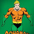 DC Comics Aquaman Classic Art Pose Moto G6 Skin