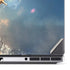 DC Comics Aquaman Movie Poster Trident Dell Precision Skin