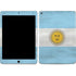 Argentina Flag Distressed iPad Skins