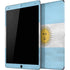Argentina Flag Distressed iPad Skins