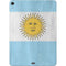 Argentina Flag Distressed Apple iPad Air Skin